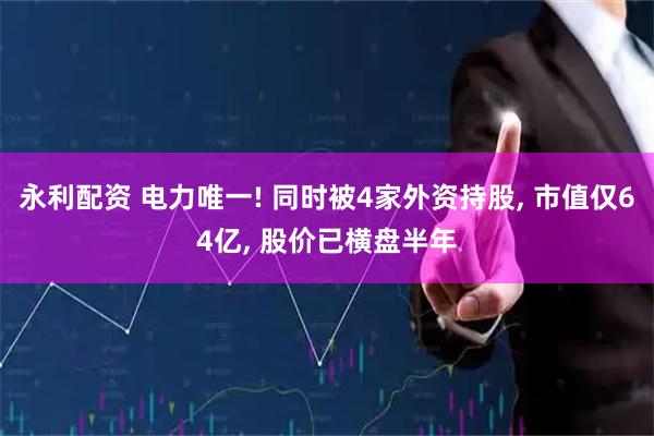 永利配资 电力唯一! 同时被4家外资持股, 市值仅64亿, 股价已横盘半年