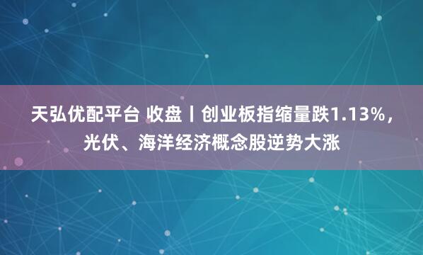天弘优配平台 收盘丨创业板指缩量跌1.13%，光伏、海洋经济概念股逆势大涨